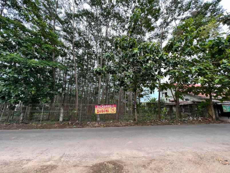 dijual tanah bringin