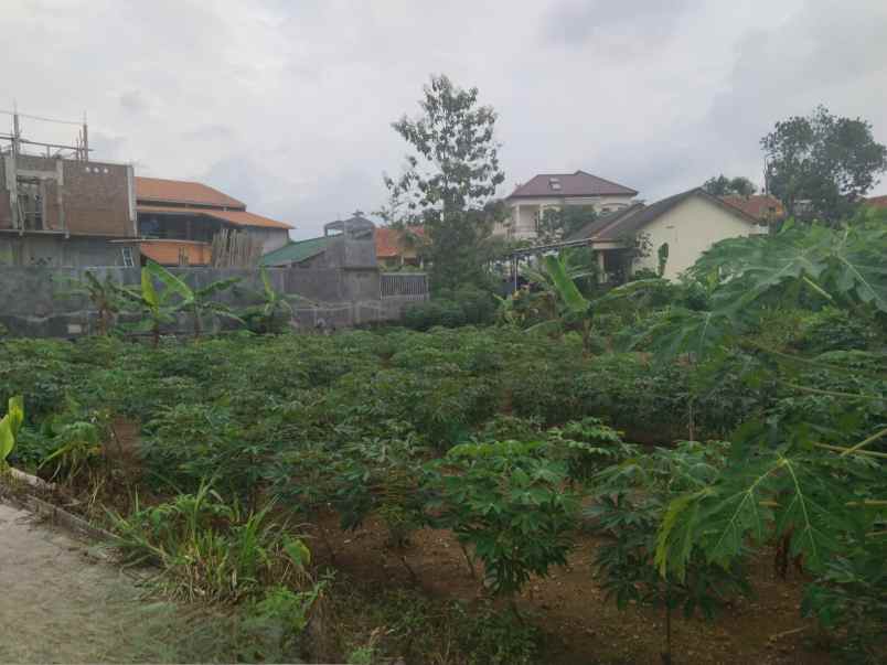 dijual tanah bulusan