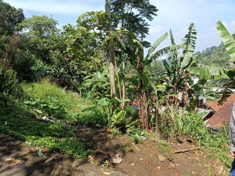 dijual tanah citra green dago