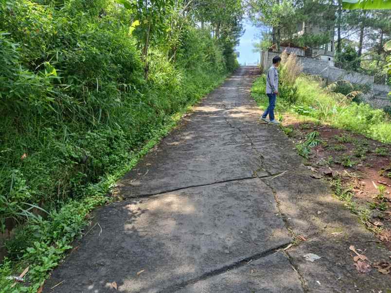 dijual tanah citra green dago