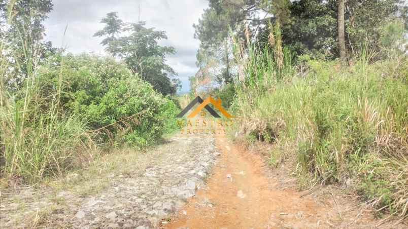 dijual tanah desa lau riman kec tiga panah