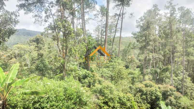 dijual tanah desa lau riman kec tiga panah