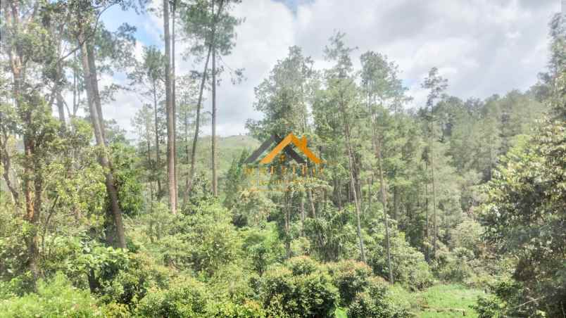 dijual tanah desa lau riman kec tiga panah