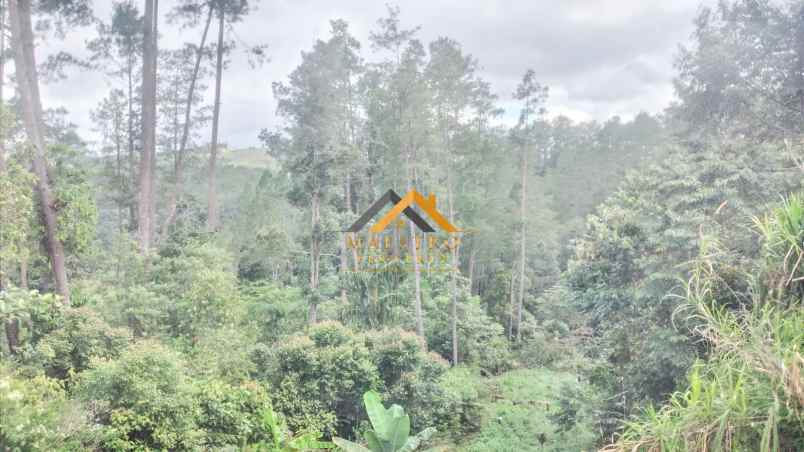 dijual tanah desa lau riman kec tiga panah