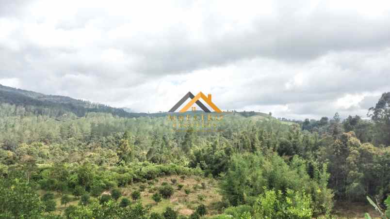 dijual tanah desa lau riman kec tiga panah