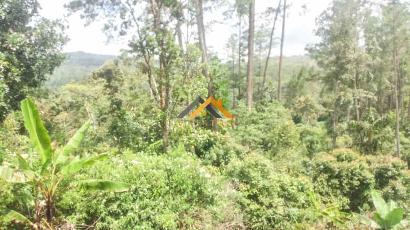 dijual tanah desa lau riman kec tiga panah