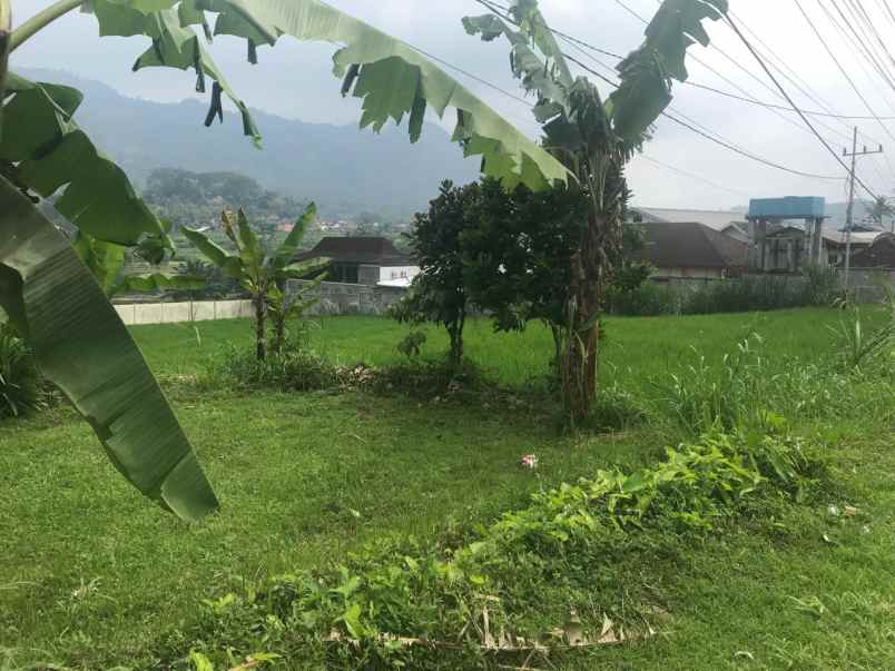 dijual tanah di desa waturejo kabupaten malang