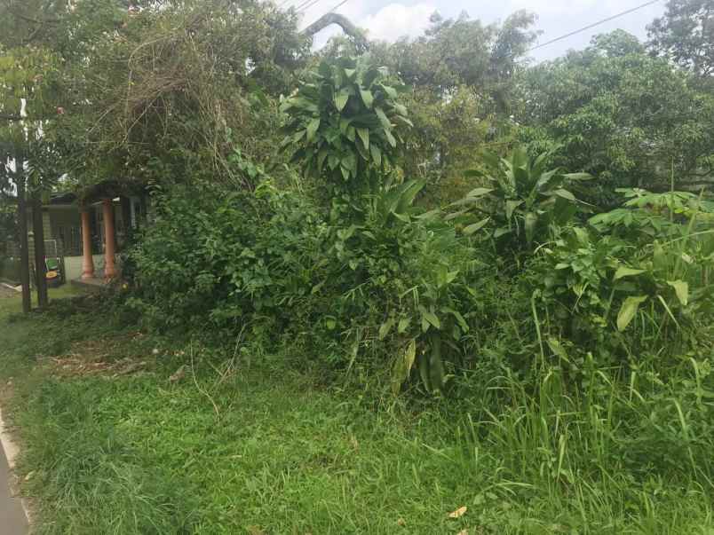 dijual tanah di desa waturejo kabupaten malang