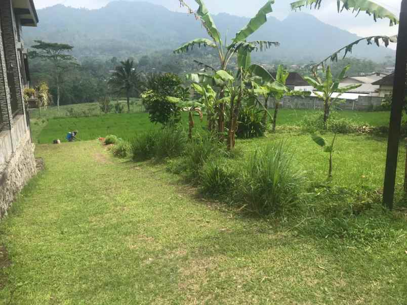 dijual tanah di desa waturejo kabupaten malang