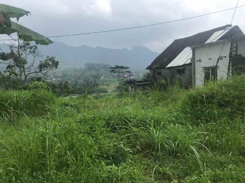 dijual tanah di desa waturejo kabupaten malang