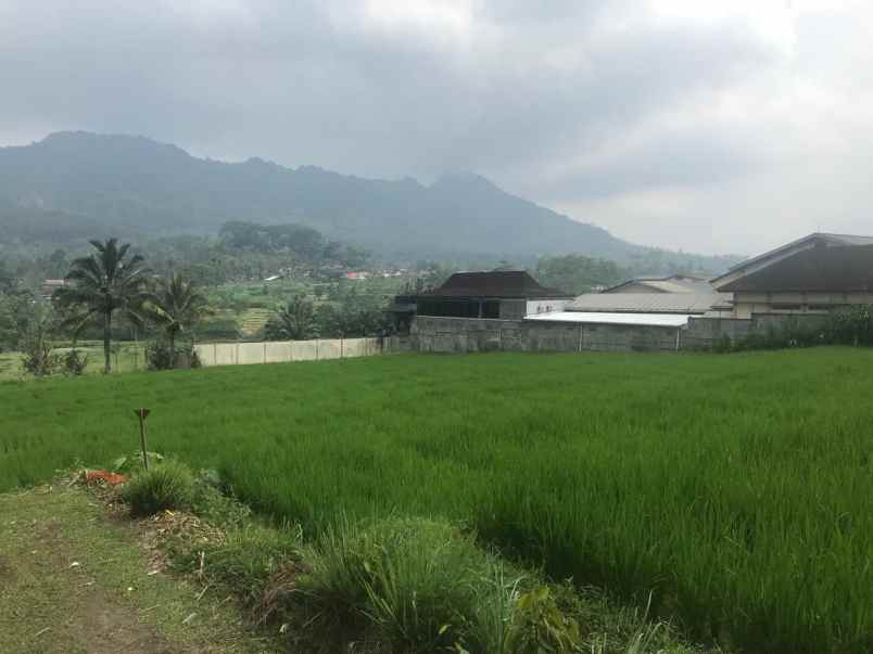 dijual tanah di desa waturejo kabupaten malang