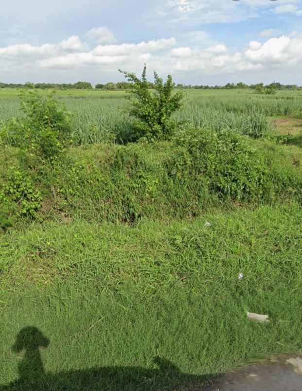 dijual tanah di jetis mojokerto