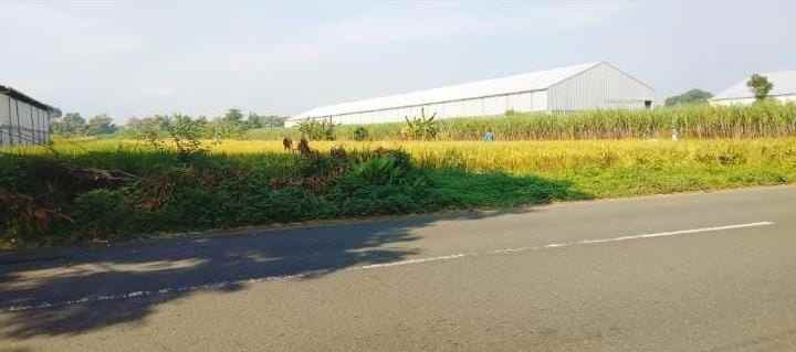 dijual tanah di mojokerto