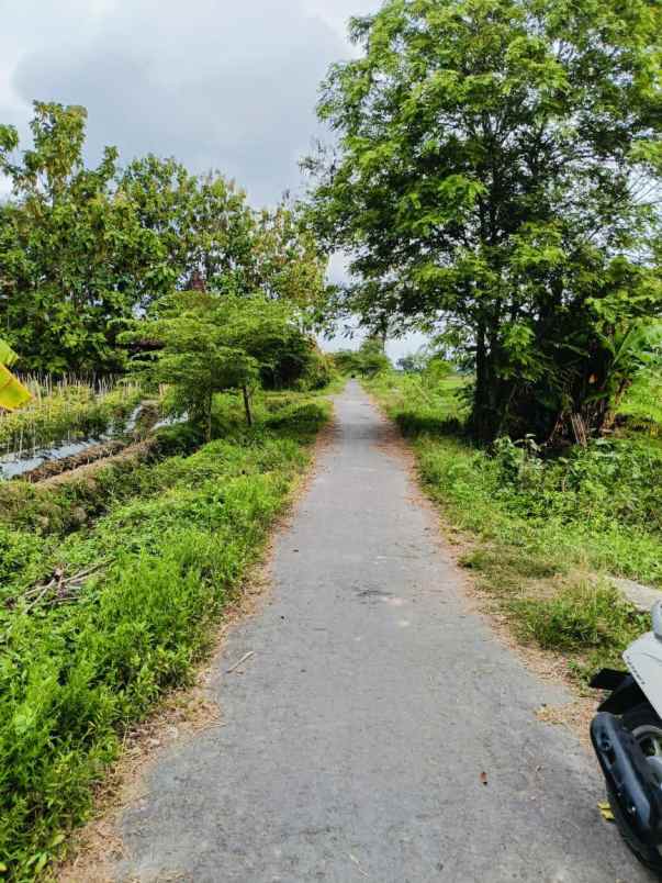 dijual tanah di pinggir jl tambak rejo kec tempel