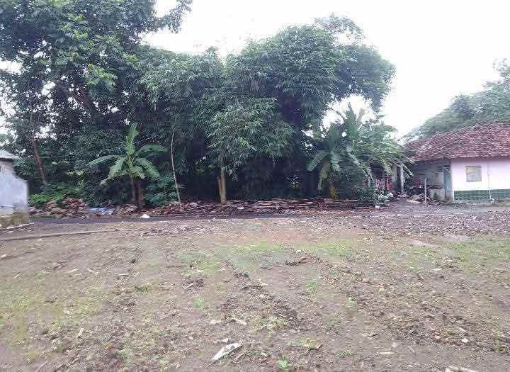 dijual tanah di pinggir jl tambak rejo kec tempel