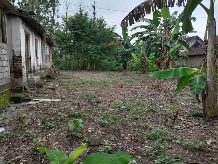 dijual tanah dijual cepat tanah di