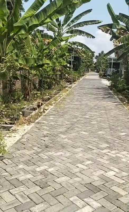 dijual tanah dijual tanah bonus