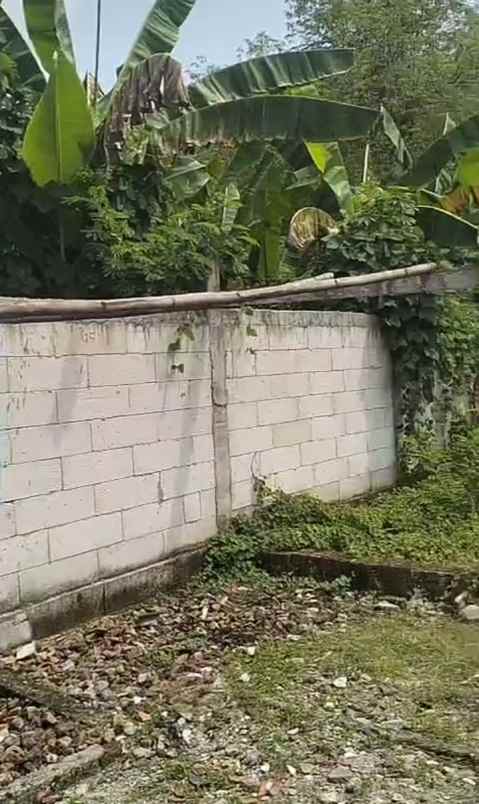 dijual tanah dijual tanah bonus