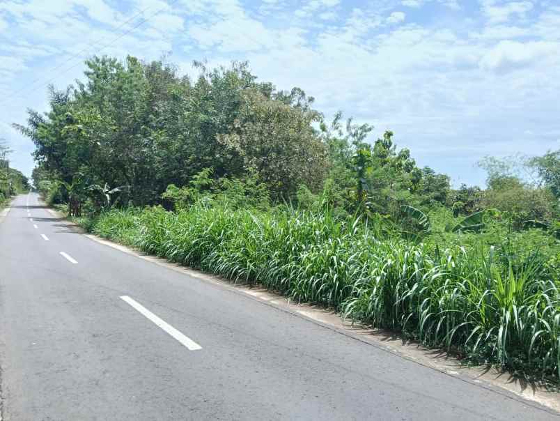 dijual tanah dijual tanah di kaliboto