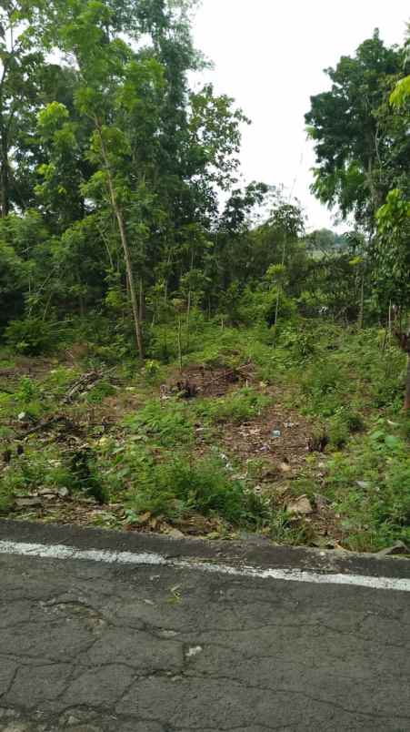 dijual tanah dijual tanah di untuk rejo