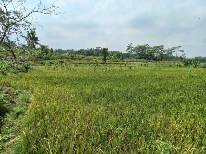 dijual tanah dusun i banteran kec