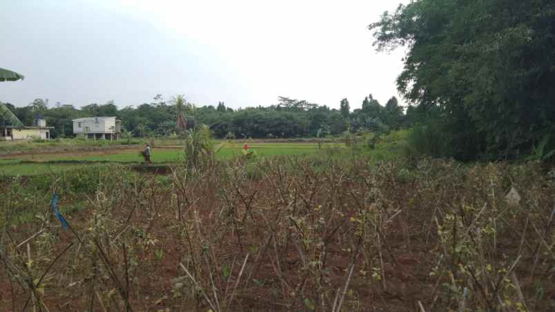 dijual tanah jalan desa kertarahayu