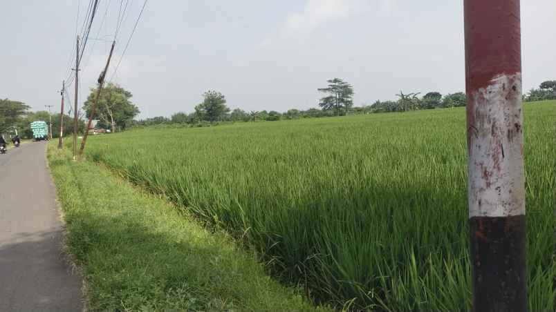 dijual tanah jalan pu desa rancahan