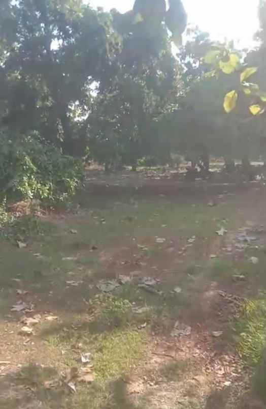 dijual tanah jalan rawa bolang