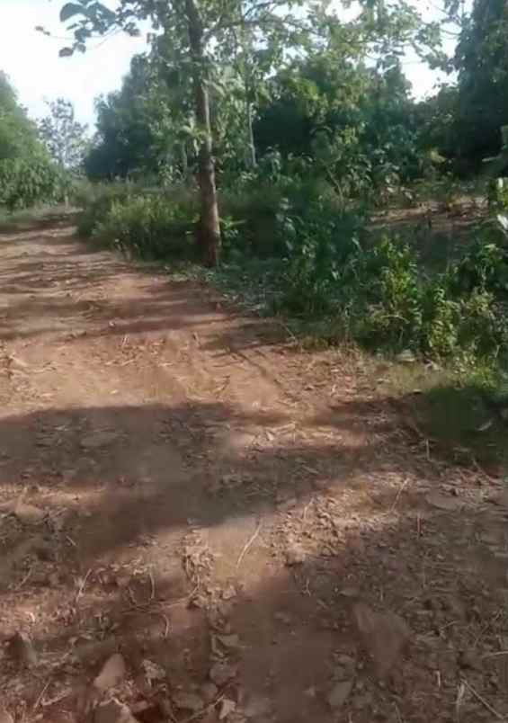 dijual tanah jalan rawa bolang