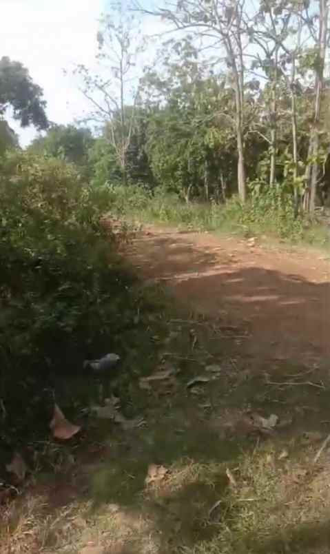 dijual tanah jalan rawa bolang