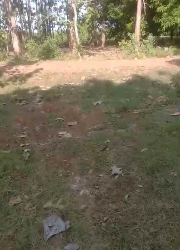 dijual tanah jalan rawa bolang