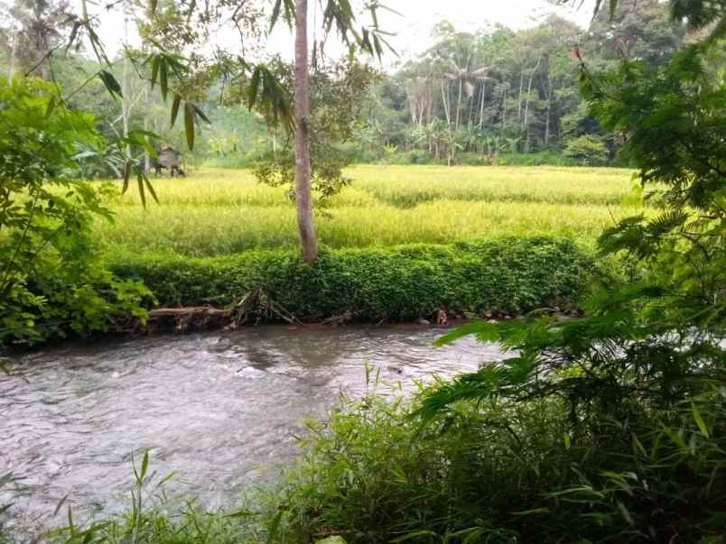 dijual tanah jl alternatif sagalaherang