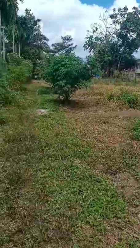 dijual tanah jl hakim