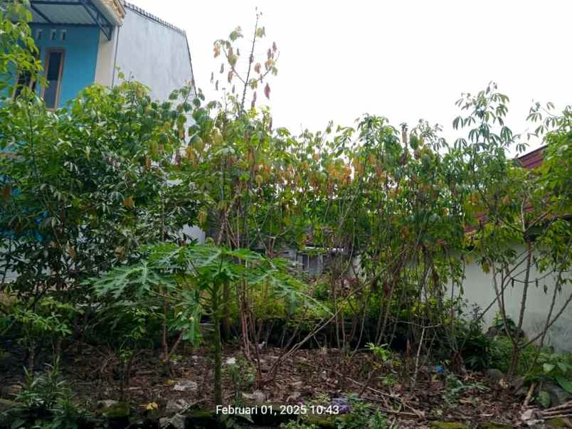 dijual tanah jl kaliurang km 13 5