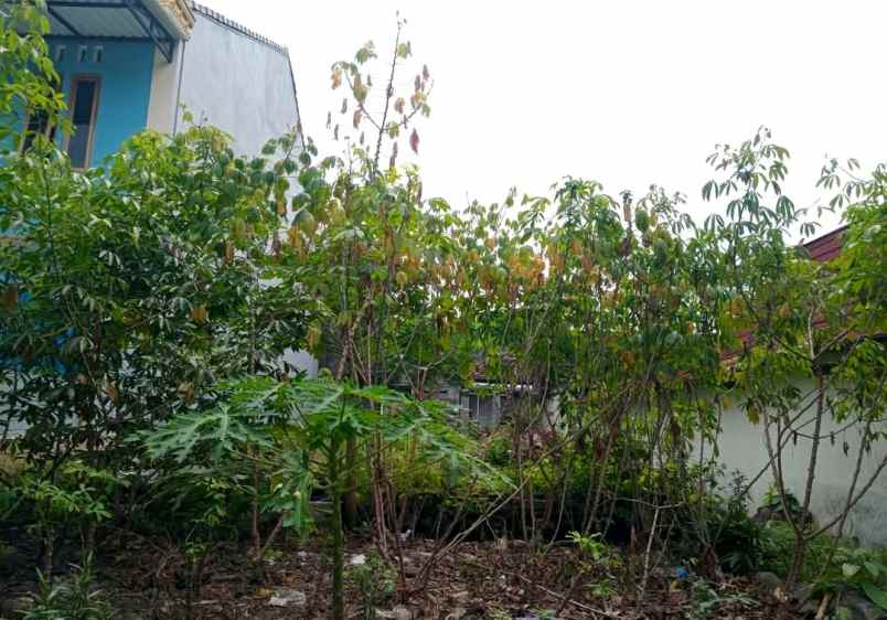 dijual tanah jl kaliurang km 13 5