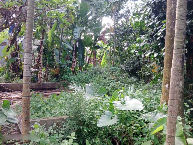 dijual tanah jl kh mas mansyur