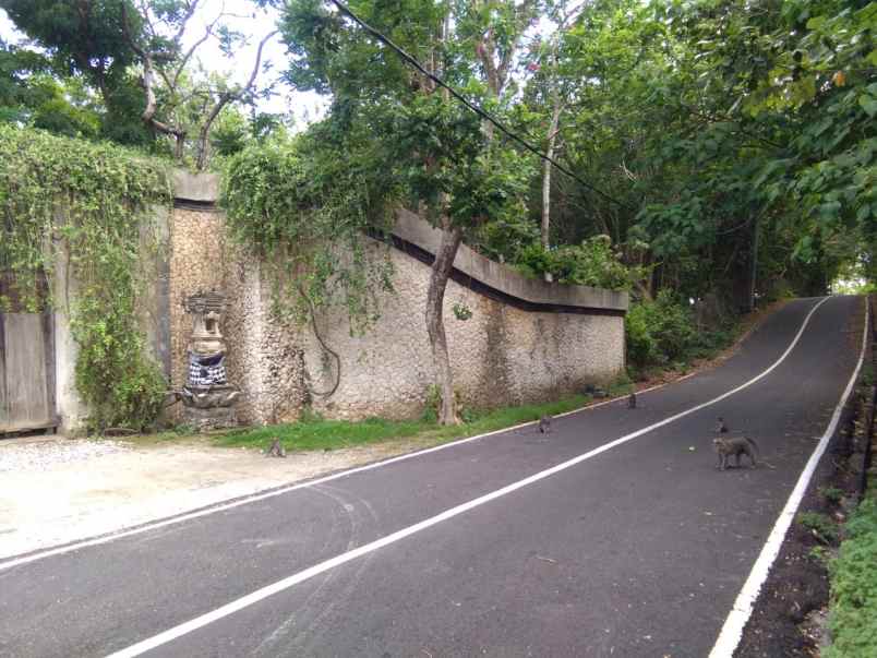 dijual tanah jl pura batu pageh