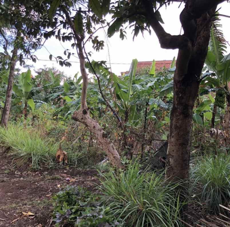 dijual tanah jl raya cipadung cipadung