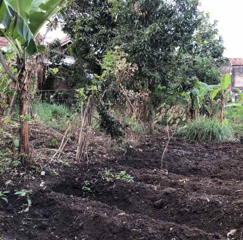 dijual tanah jl raya cipadung cipadung