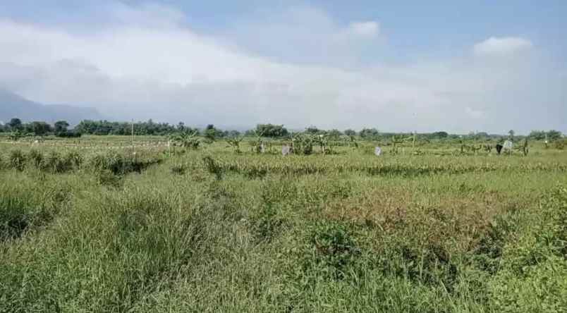 dijual tanah jl raya provinsi kembang