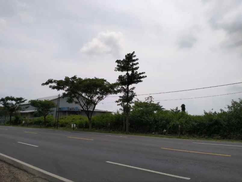 dijual tanah jl raya widang