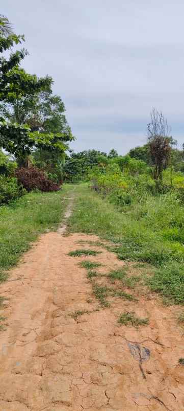 dijual tanah jl singgalang