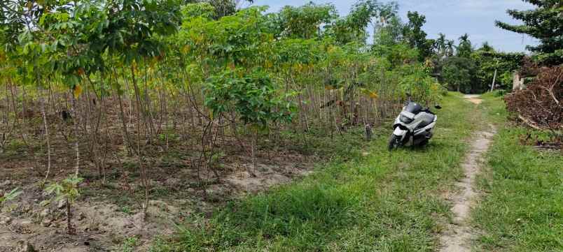 dijual tanah jl singgalang