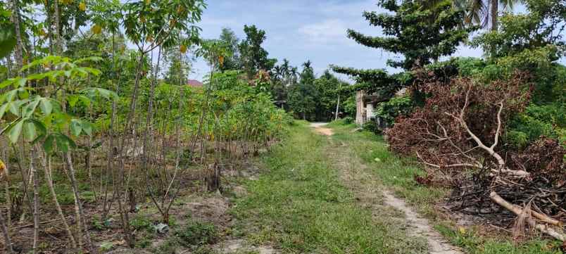 dijual tanah jl singgalang