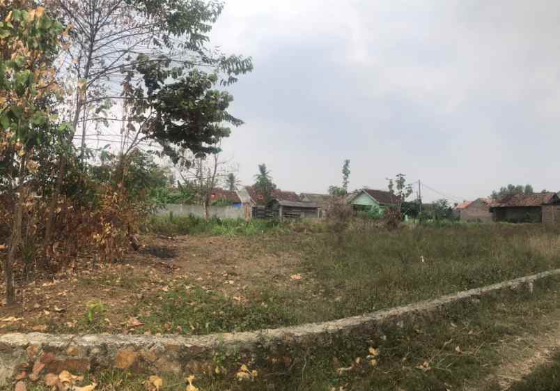 dijual tanah jl terusan ryacudu