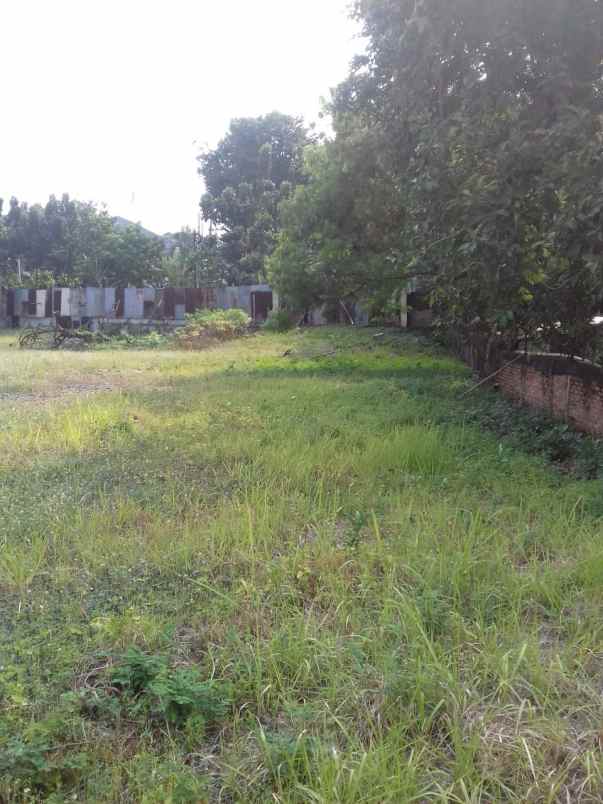 dijual tanah jl wolter monginsidi