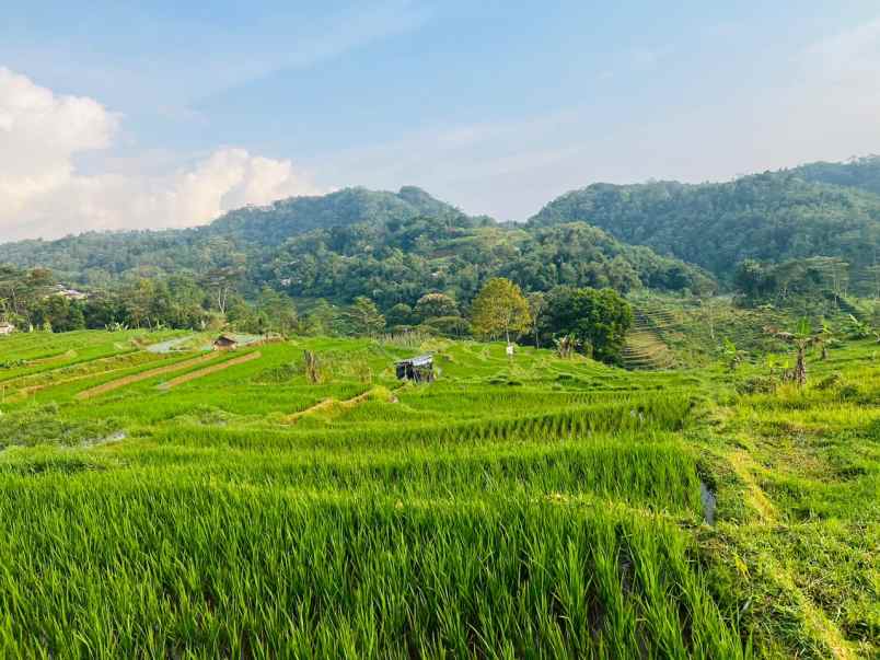 dijual tanah karangpandan karanganyar