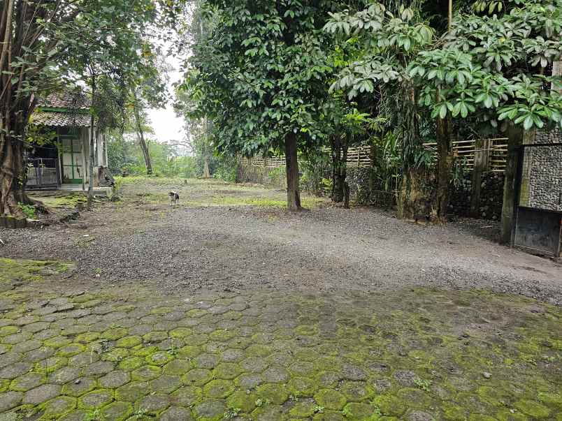 dijual tanah kasuran kelurahan