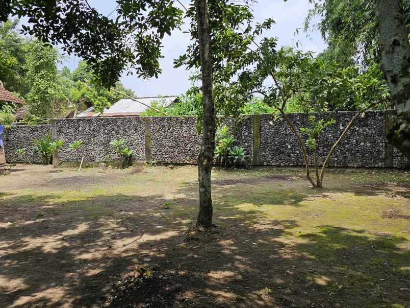 dijual tanah kasuran kelurahan