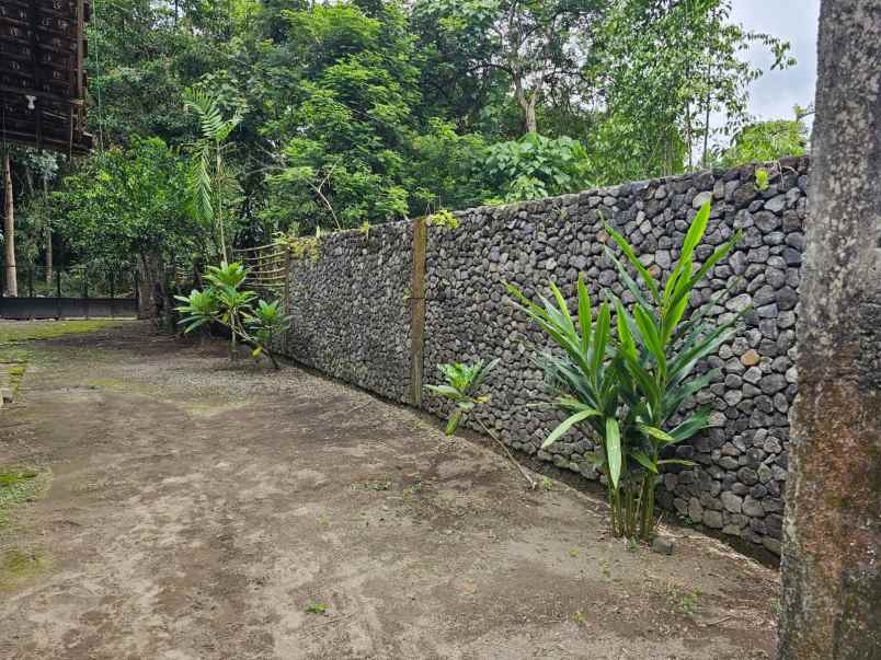 dijual tanah kasuran kelurahan